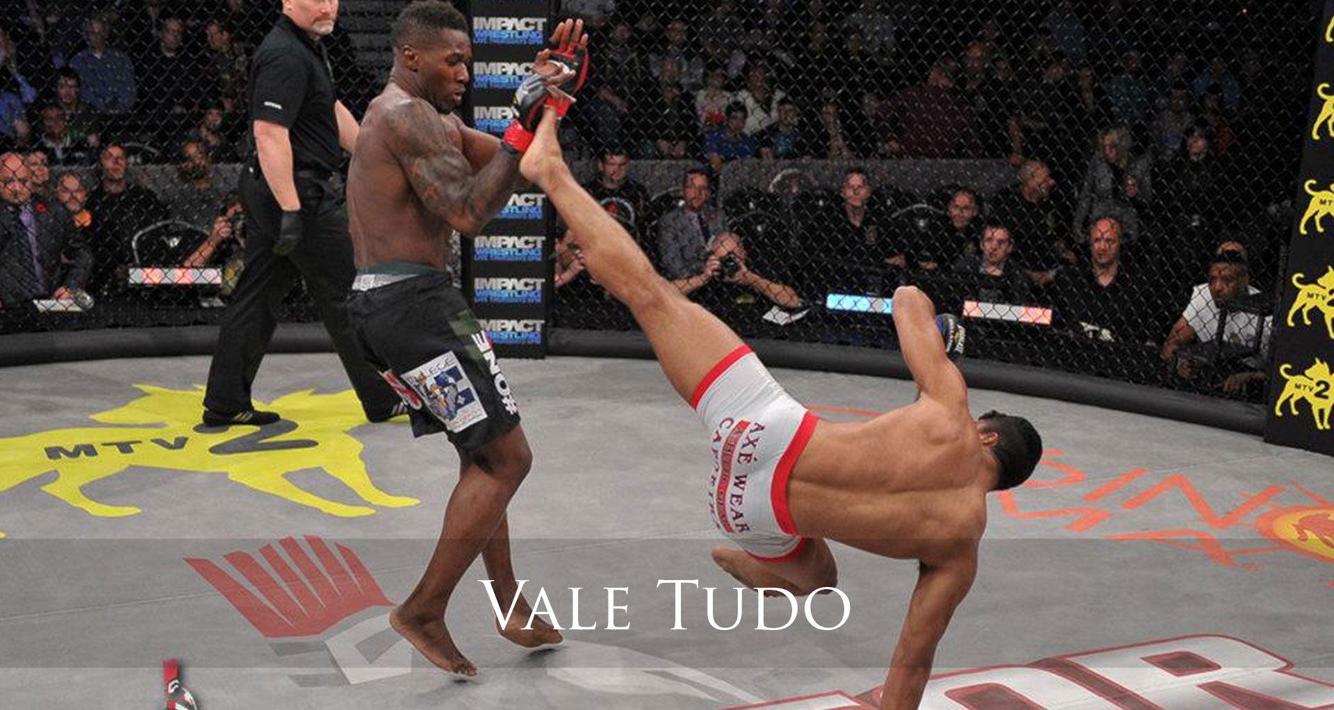 Vale Tudo [1988– ]